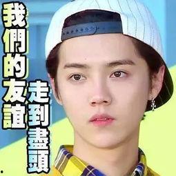 娱乐吃瓜直播真的假的啊